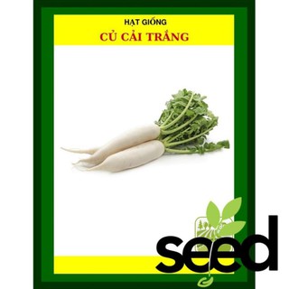 Hạt Giống Củ Cải Trắng 50 Gram