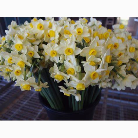 BulingBuling LIfe LTD, Cửa hàng trực tuyến | BigBuy360 - bigbuy360.vn