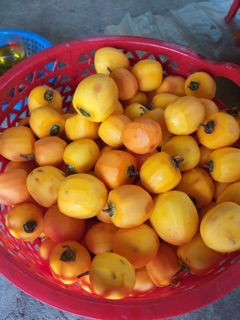 Hồng sấy gió loại 1