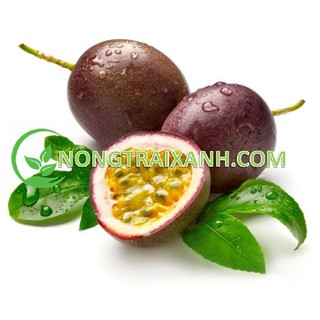 30H - HẠT GIỐNG CHANH DÂY/ CHANH LEO