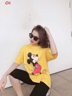 Bộ lửng chuột micky COL875 N213 N213 no3