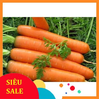 Gói 10 gr giống cà rốt tết khuyến mại