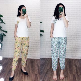 Set ao phông + quần lanh