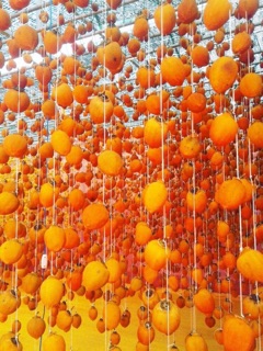 Hồng sấy gió loại 1