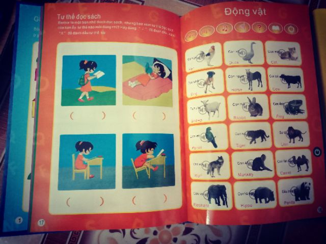 Sách quý song ngữ cho trẻ mẫu mới