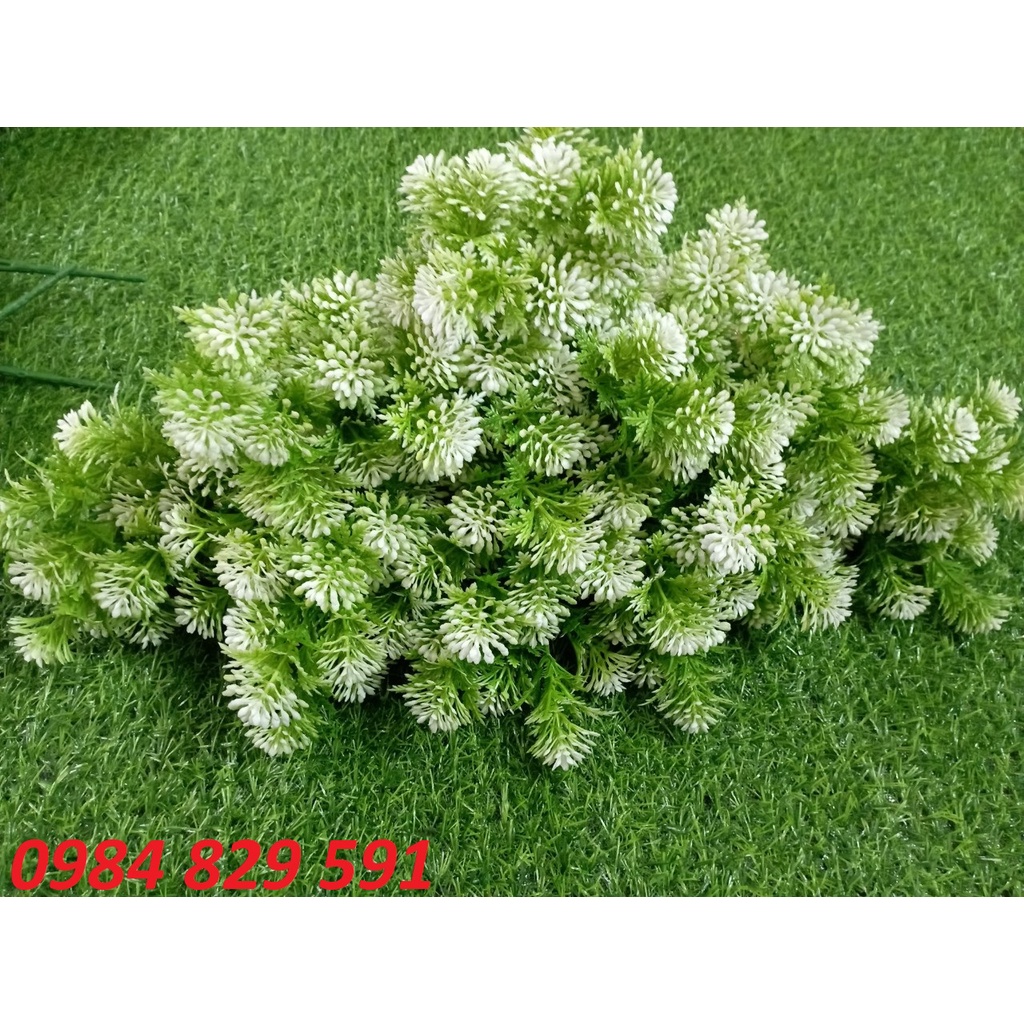 Cụm điểm hoa đá