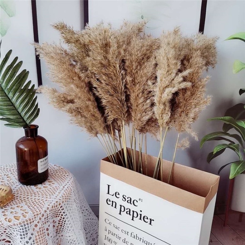 Cọ lá khô chụp sản phẩm