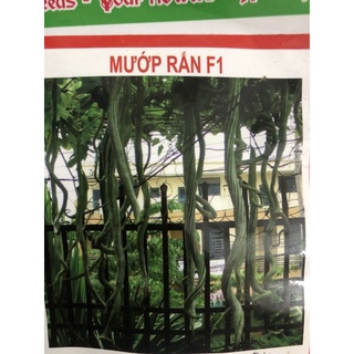 Hạt giống Mướp Rắn sai trái F1 Nhật - 5 hạt / gói