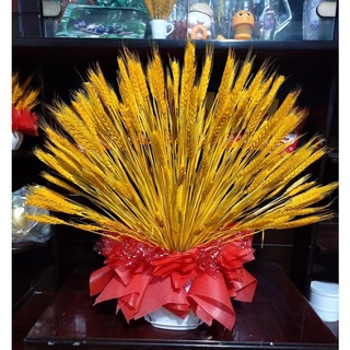 100 bông lúa mạch khô