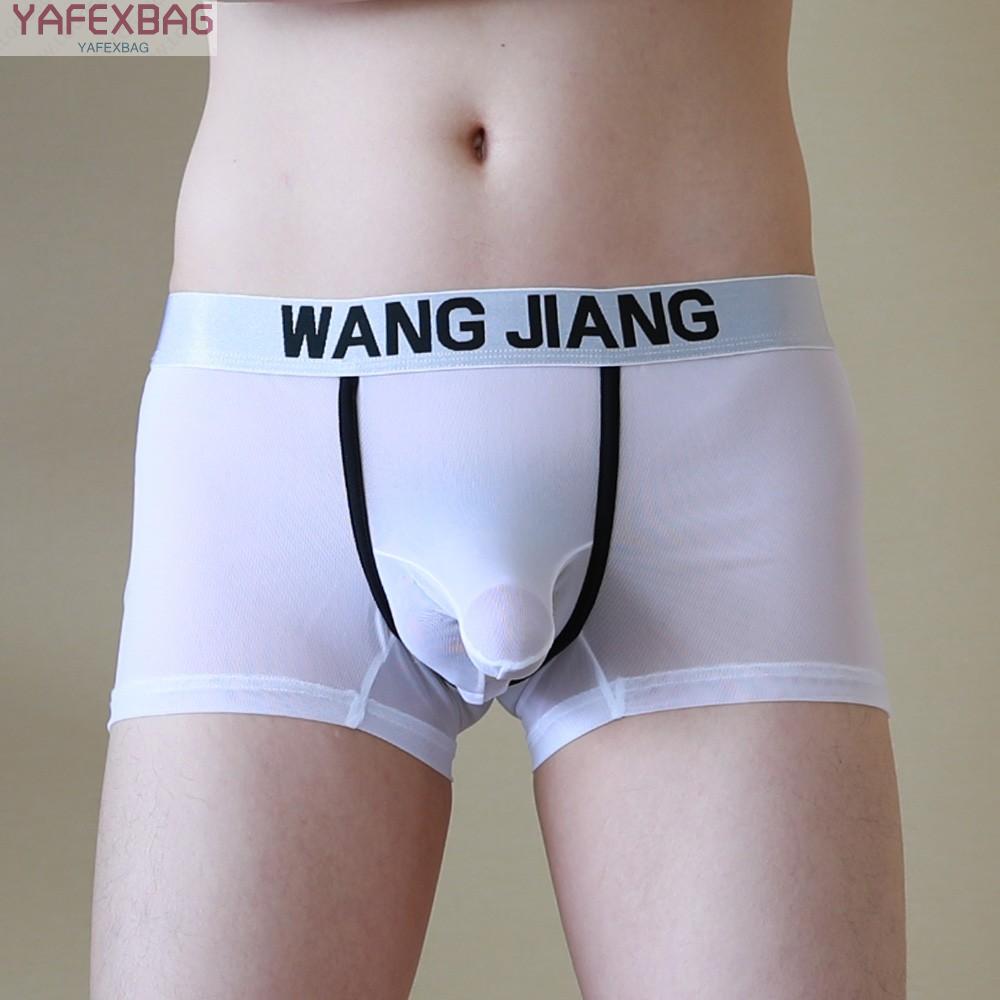 Underwear Boxer Briefs Boxer Shorts Bulge Pouch Elephant Nose Sexy Shorts Solid