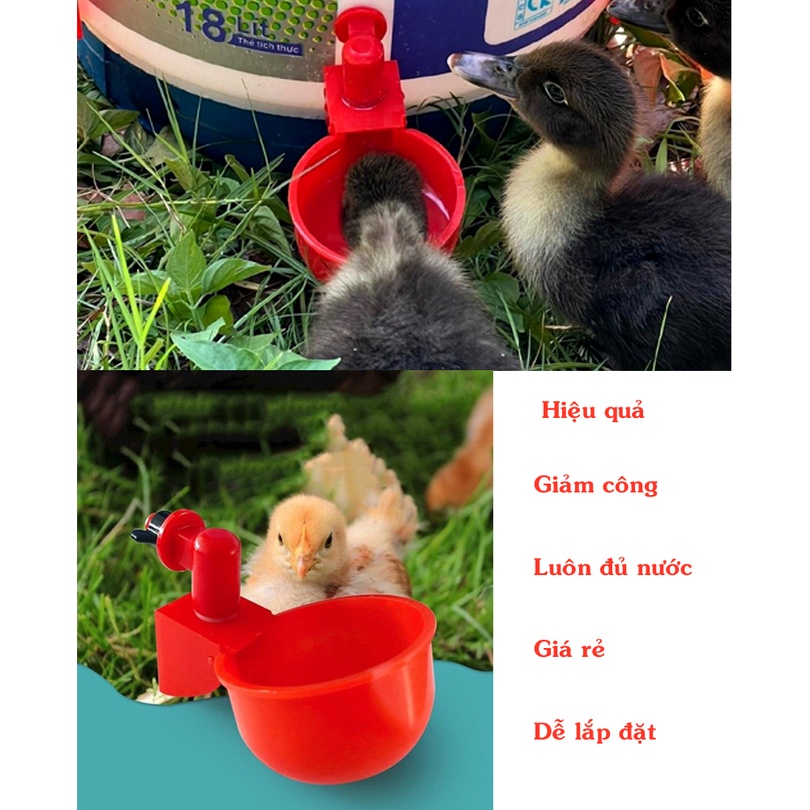 Máng uống tự động cho gà vịt hàng loại 1 dày