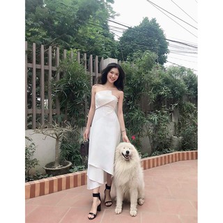 Đầm Ôm Body Dự Tiệc Đính Hạt Siêu Sang