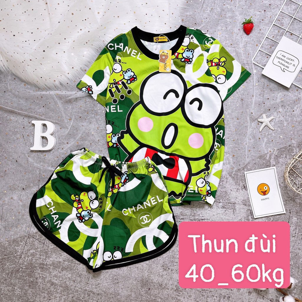 Bộ Ngủ Pijama Thun Lạnh 3D Cao Cấp Tay Ngắn Quần Đùi Họa Tiết Hoạt Hình Dễ Thương P1