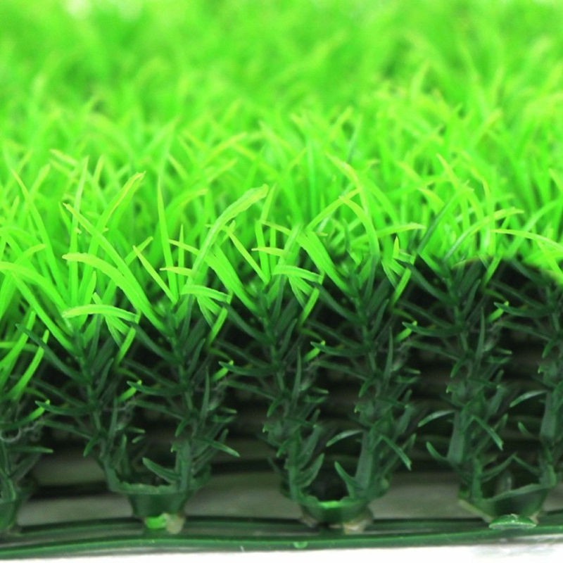 Bụi cỏ nhân tạo trang trí bể cá đẹp mắt