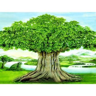 Tranh dán tường Cây Bồ Đề nhiều mẫu và kích thước