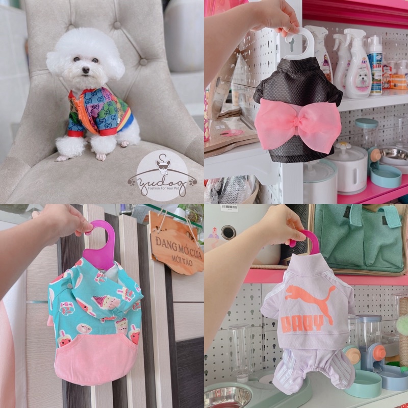 áo cho thú cưng
