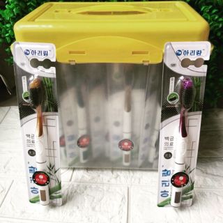 Sỉ 1 hộp 45 chiếc bàn chải đánh răng