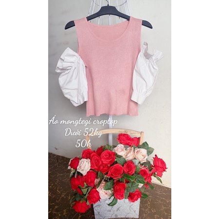 Áo mongtegi dáng croptop