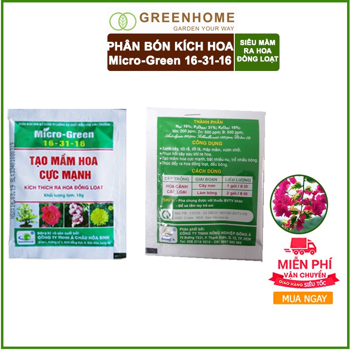 Phân kích ra hoa, Micro Green 16-31-16, gói 10gr, tạo mầm hoa cực mạnh, thúc đẩy ra hoa đồng loạt |Greenhome