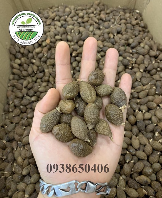 Hạt ươi bay Lâm Đồng loại đặc biệt siêu nở ( Hạt size lớn) Gói 1kg | BigBuy360 - bigbuy360.vn