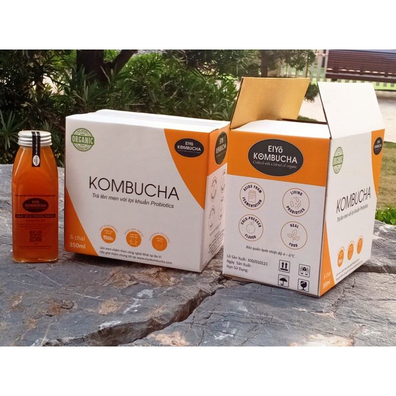 TRÀ KOMBUCHA - BẢO VỆ & PHÒNG NGỪA  HƯƠNG HOA HỔI THÙNG 6 CHAI.