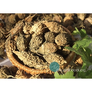 [500G-1KG] MƯỚP ĐẮNG (KHỔ QUA) RỪNG SẤY KHÔ