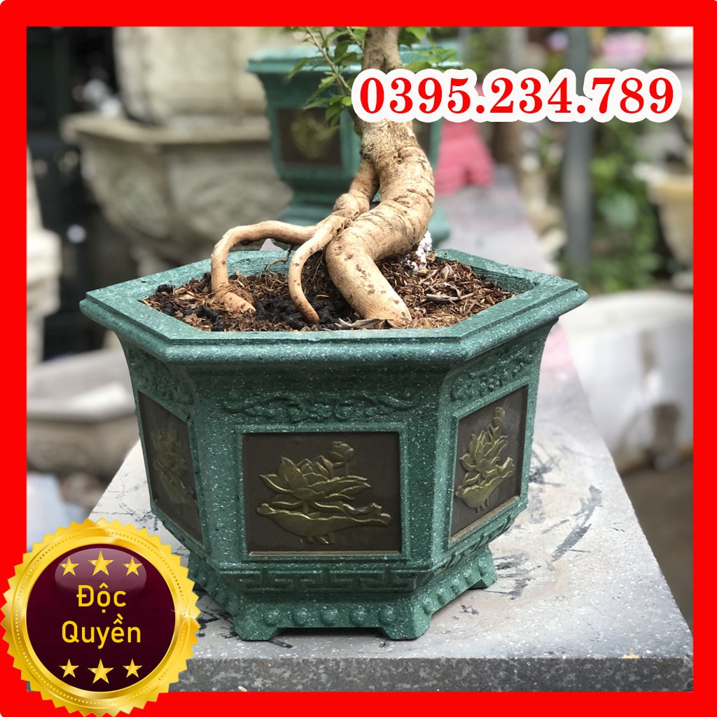 Khuôn Đúc Chậu Cảnh Giá Rẻ, Khuôn Chậu Lục Giác 30
