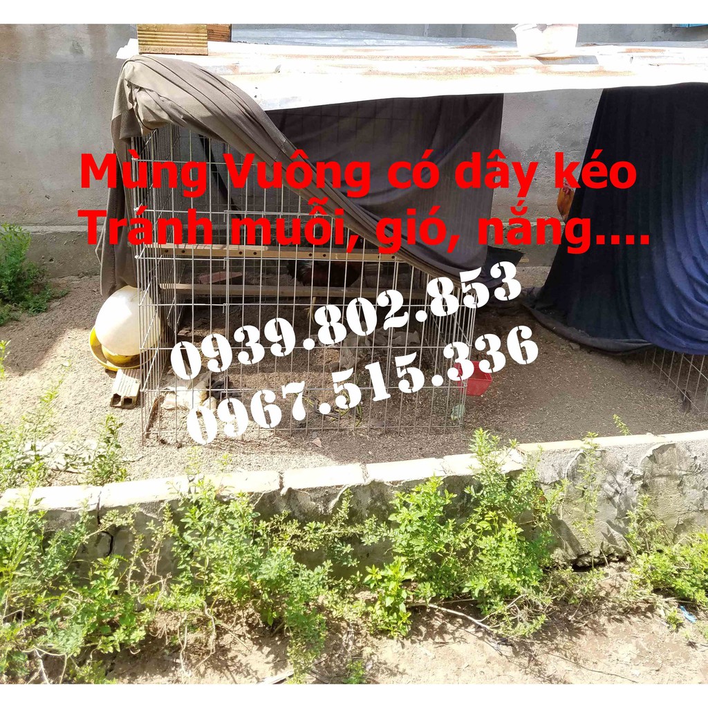 Mùng gà vuông các kích thước có dây kéo tránh mưa + tránh muỗi