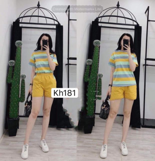 bộ áo pha màu nữ | BigBuy360 - bigbuy360.vn