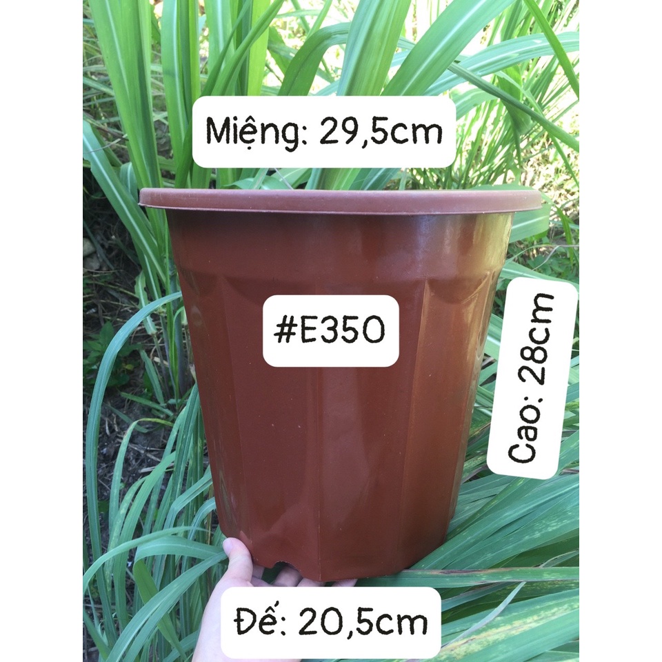 5 CHẬU NHỰA TRỒNG CÂY MÃ #E350 (BẠT PHỦ ĐẤT CHỐNG CỎ MỌC, BẦU KHAY TÚI ƯƠM...)