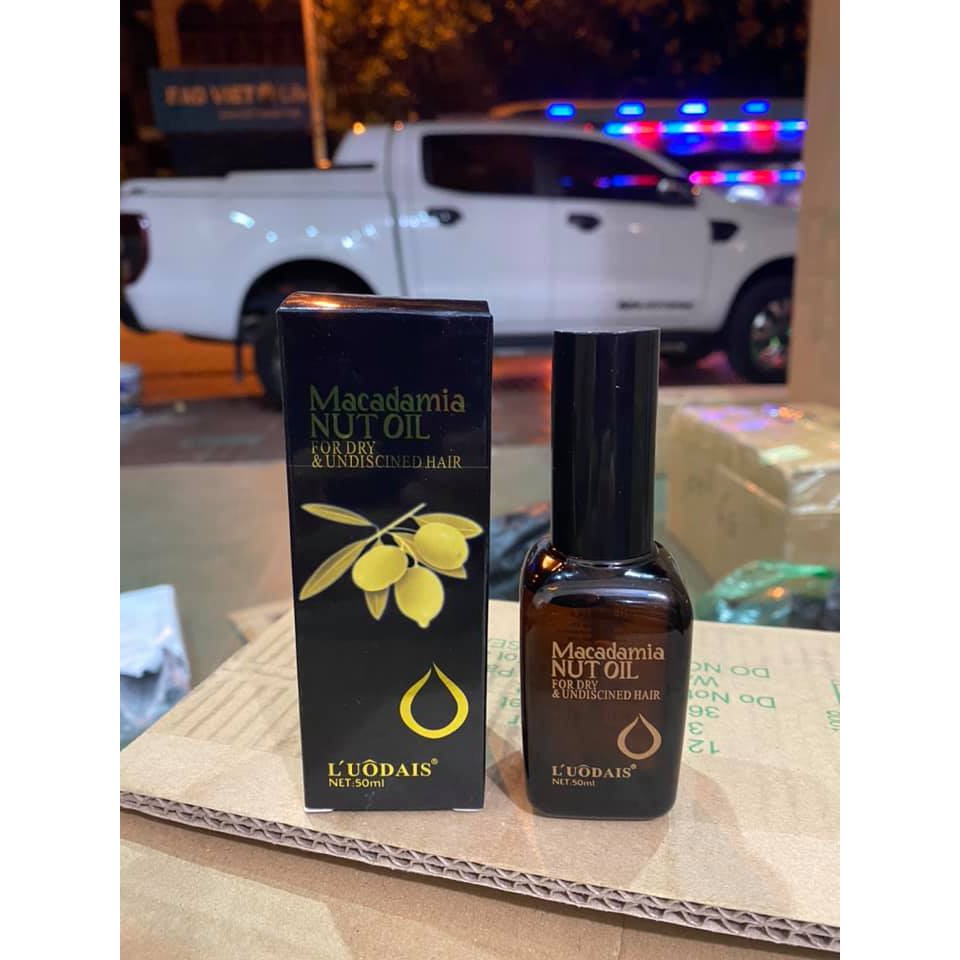 Tinh Dầu Dưỡng Tóc Maca Damia Nut Oil,Thấm vào tóc nhanh và nuôi dưỡng từ lõi tóc | BigBuy360 - bigbuy360.vn