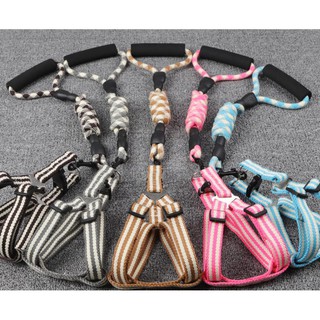 Dây dắt chó mèo đi dạo.Dây dắt cho pet từ 3-55kg