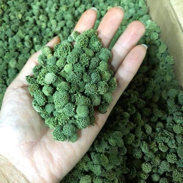 Nụ Hoa Tam Thất Bao Tử Hàng Không Chân