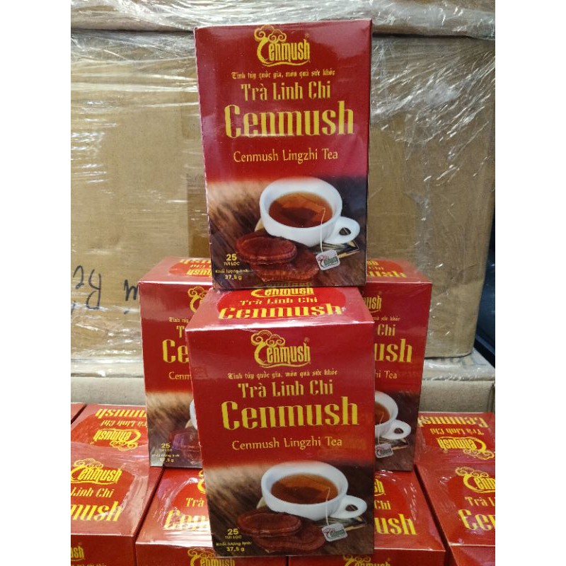 TRÀ NẤM LINH CHI TÚI LỌC NẤM LINH CHI ĐỎ CENMUSH - NẤM CÔNG NGHỆ CAO MIỀN TRUNG CENMUSH
