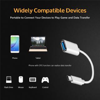 Cáp chuyển đổi dữ liệu mini Type C sang USB OTG