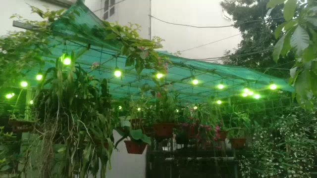 [BH 1 Năm] Bóng Đèn Chanh, Bóng Led 1W Đổi Màu Trang Trí Nhà Cửa , Led RGB Nháy Đổi Màu Tự Động ,Giá Rẻ ,Chống Nước | BigBuy360 - bigbuy360.vn