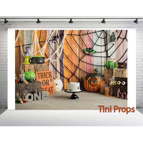 Tranh Canvas 1m5x2m - Phông chụp hình Baby 63