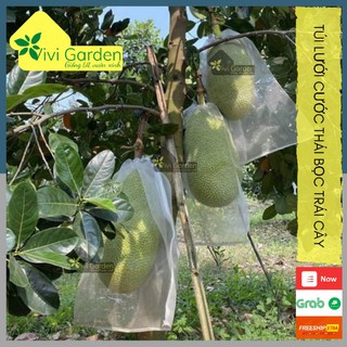 Combo 60 túi lưới cước thái chuyên dụng bọc mít, sầu riêng size 50x70 lưới mềm mịn có thể tái sử dụng đến 2 năm