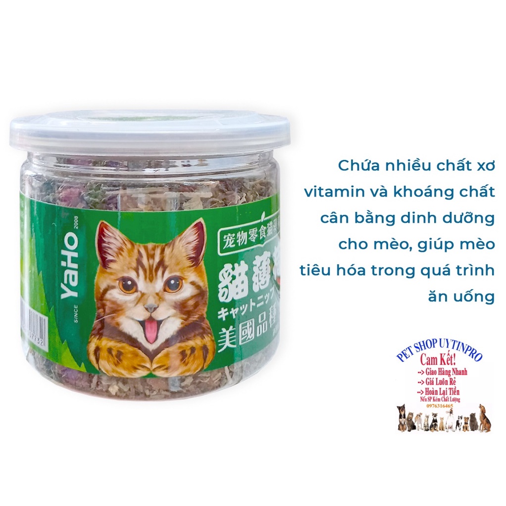 Cỏ catnip cho Mèo Yaho hộp 20g Giúp bổ sung vitamin và khoáng chất, Cân bằng dinh dưỡng, Hỗ trợ tiêu hóa