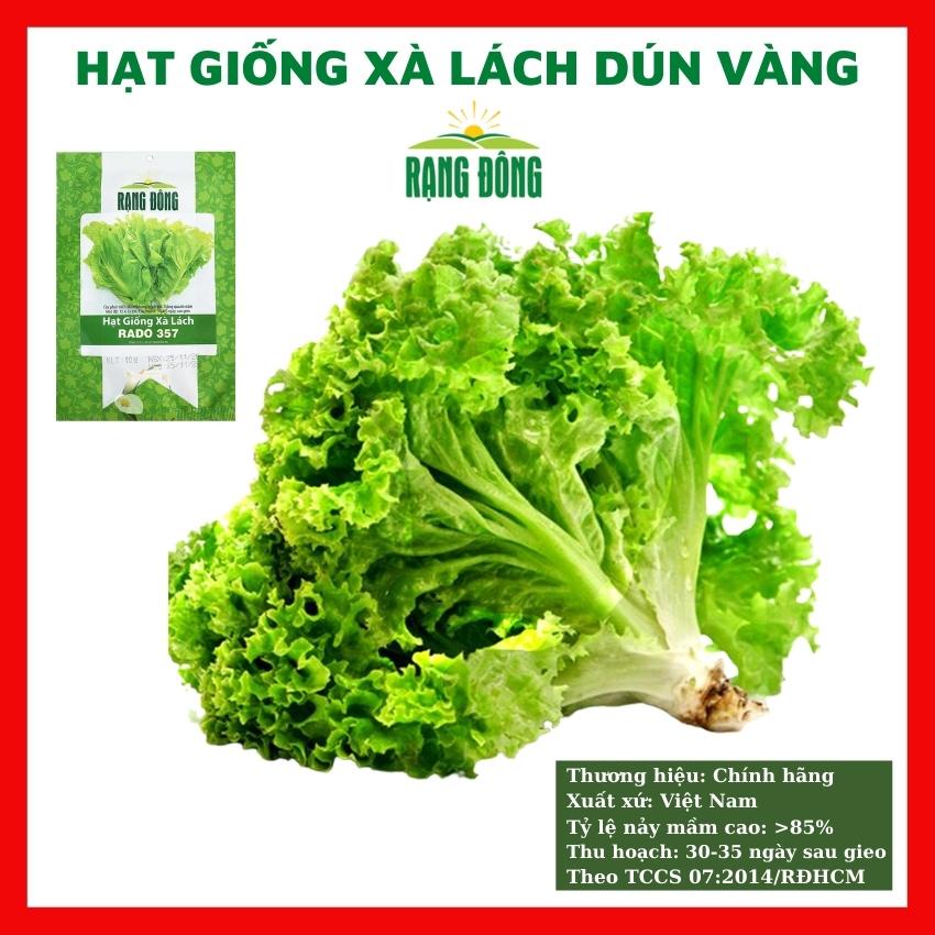 Hạt giống xà lách xoăn dún vàng cao sản giòn ngọt - rau củ quả trồng chậu, vườn dễ chăm sóc 10gr RADO 357