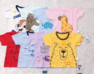 Bộ Cotton giấy hàng QC