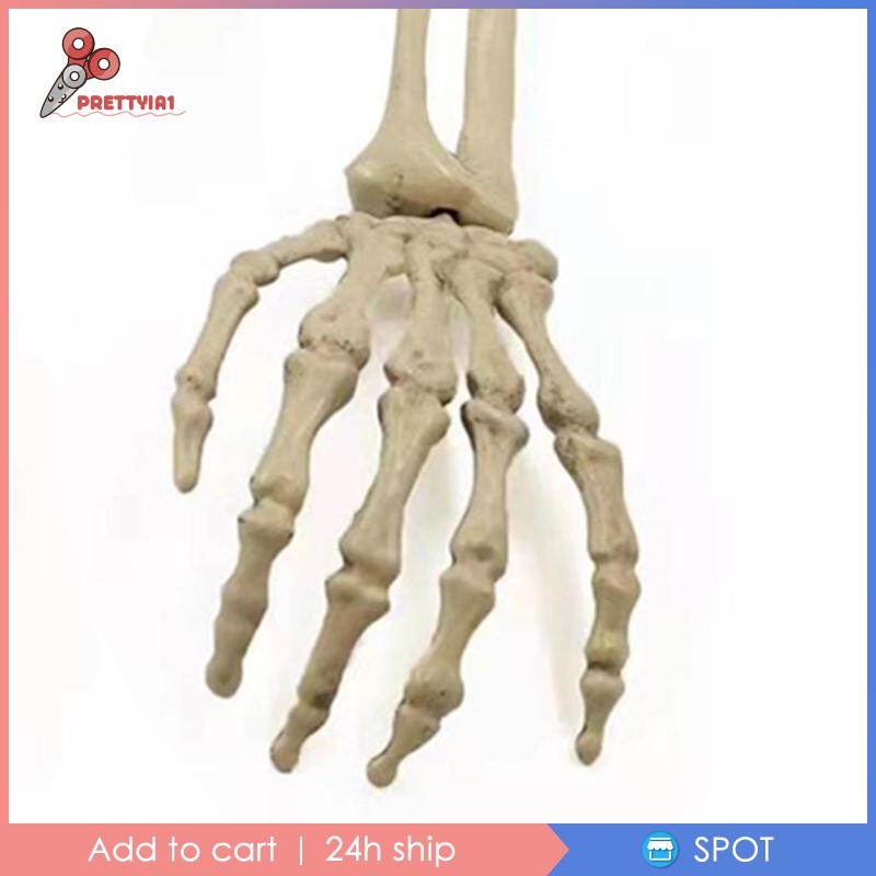 Bộ Xương Trang Trí Halloween Kinh Dị Prettyia1