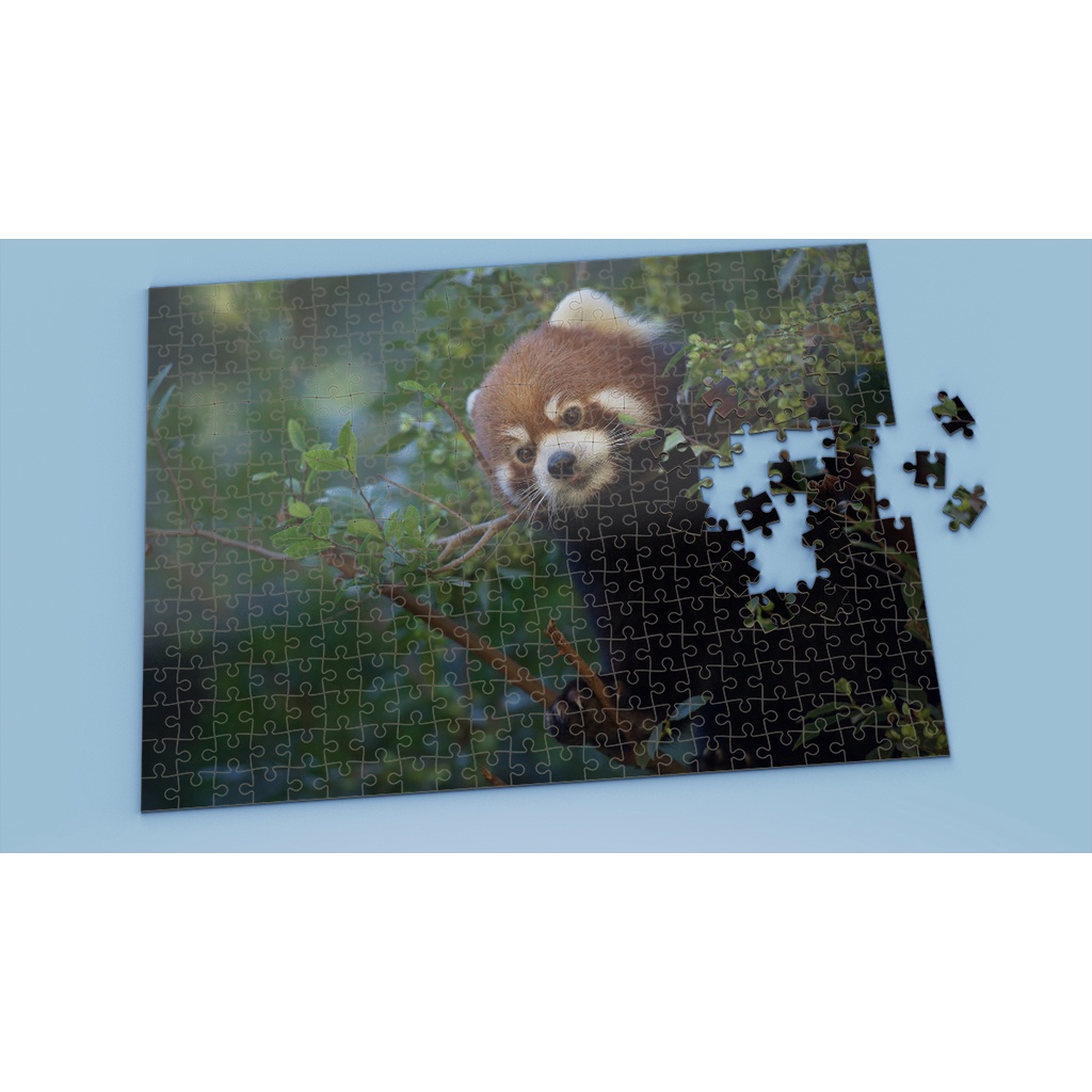 Tranh ghép hình RED PANDA - Mẫu 3 - Nhận in theo yêu cầu