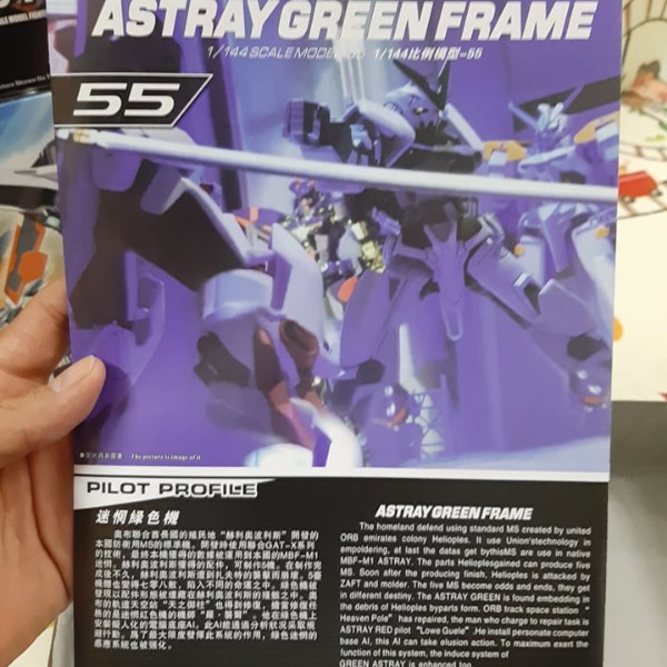 Mô Hình Gundam Astray Green Frame HG 1/144
