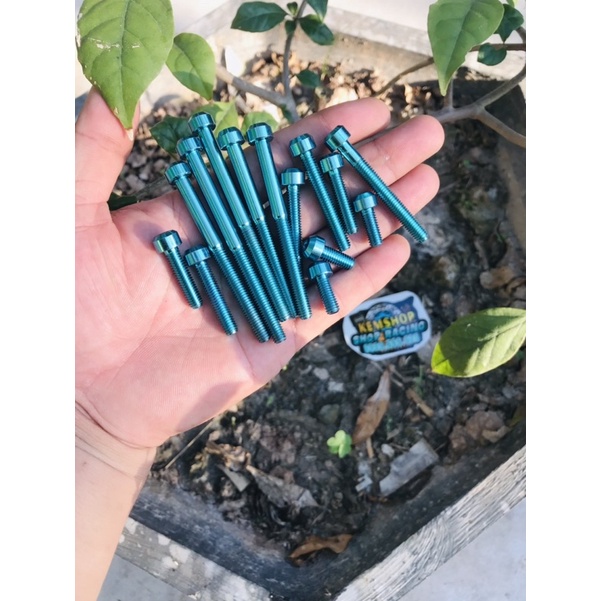 Ốc Lốc Máy, Ốc Bưởng Điện Titan Wave 100