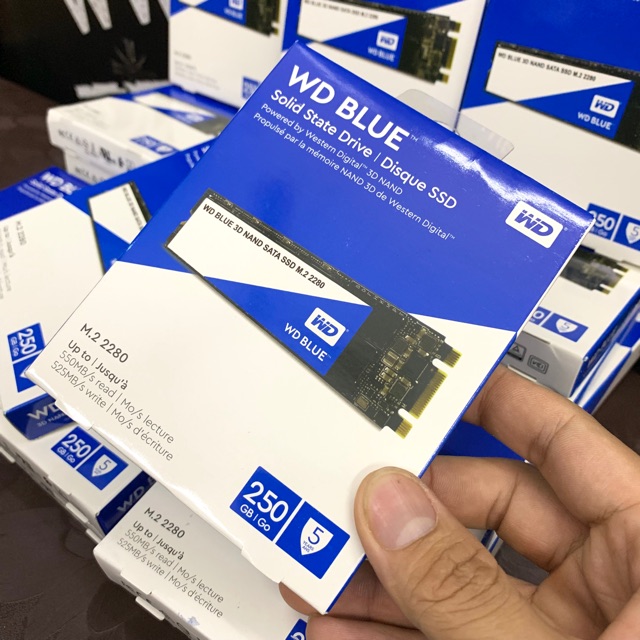 Ổ Cứng SSD Western Blue 250GB Chuẩn M.2 3D NAND New Seal USA