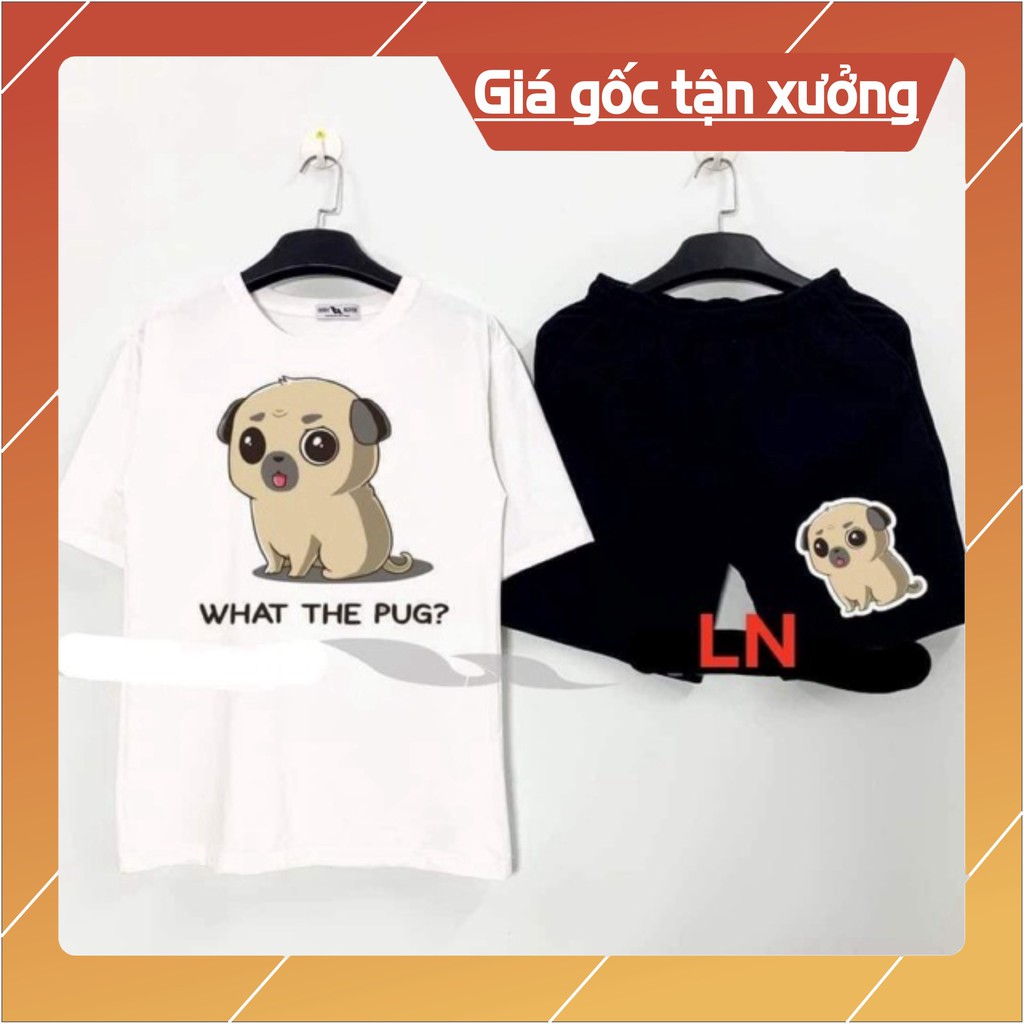Sét áo cún the pug+quần đùi 3D LN12