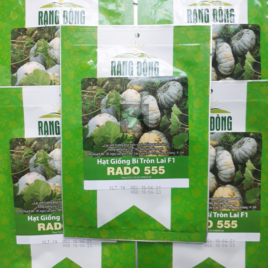 Hạt giống bí đỏ tròn lai f1 Rado555, đóng gói 1gr