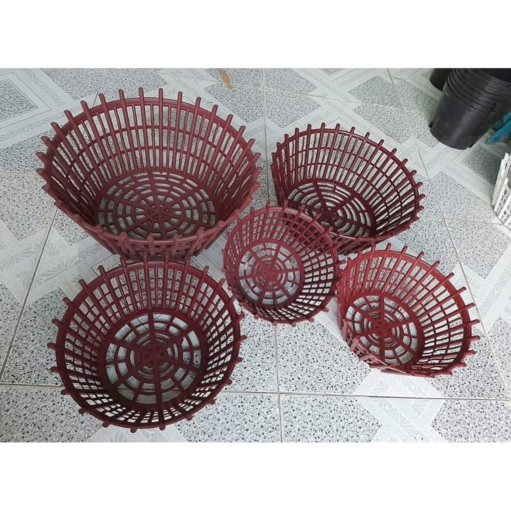 10 CHẬU NHỰA GIẢ GỖ THẾ HỆ MỚI ĐK 20cm