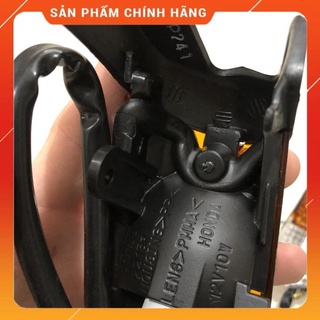 Cụm xi nhan dream thái - củ xi nhan dream việt zin